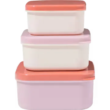 HEMA Set van Snackboxjes 3 Stuks