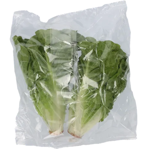 1 de Beste Mini romaine