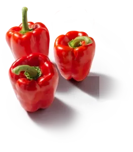 Paprika rood
