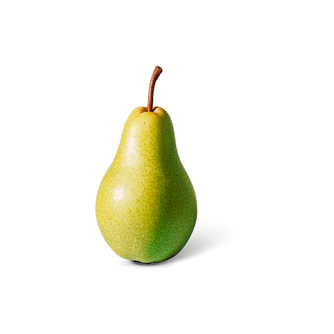 Hollandse Conference peren