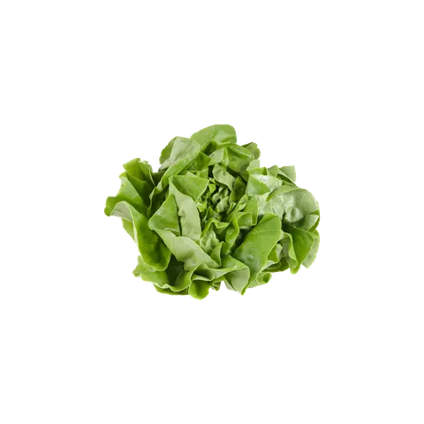 1 de Beste Kropsla