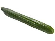 Hoogvliet Komkommer