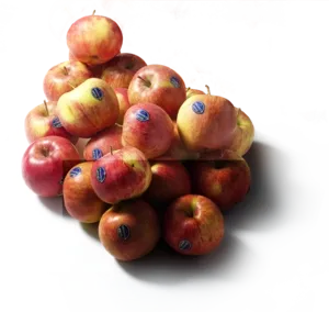 Jonagold Zak Appels