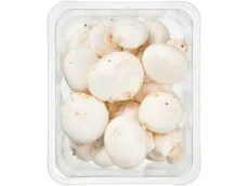 Champignons