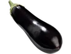 Aubergine