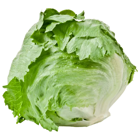 PLUS IJsbergsla krop