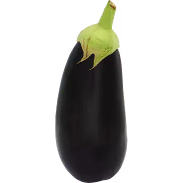 Jumbo Aubergine