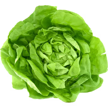 Jumbo Kropsla