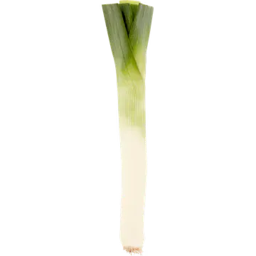 Jumbo Prei