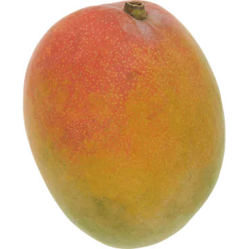 Jumbo Mango
