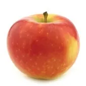 Kanzi appel