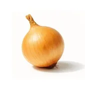 uien