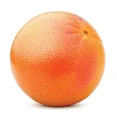 rode grapefruit