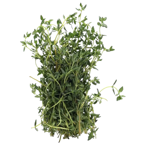 Tijm