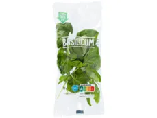 Verse basilicum