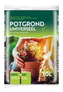 Bvb — Potgrond