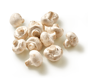 Witte champignons