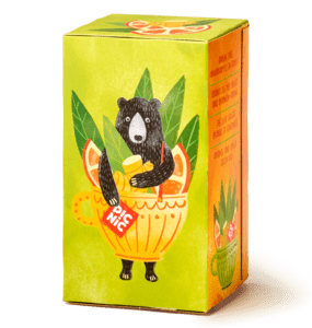 Picnic groene thee gember & sinaasappel