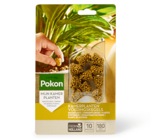 Pokon kamerplanten voedingskegels