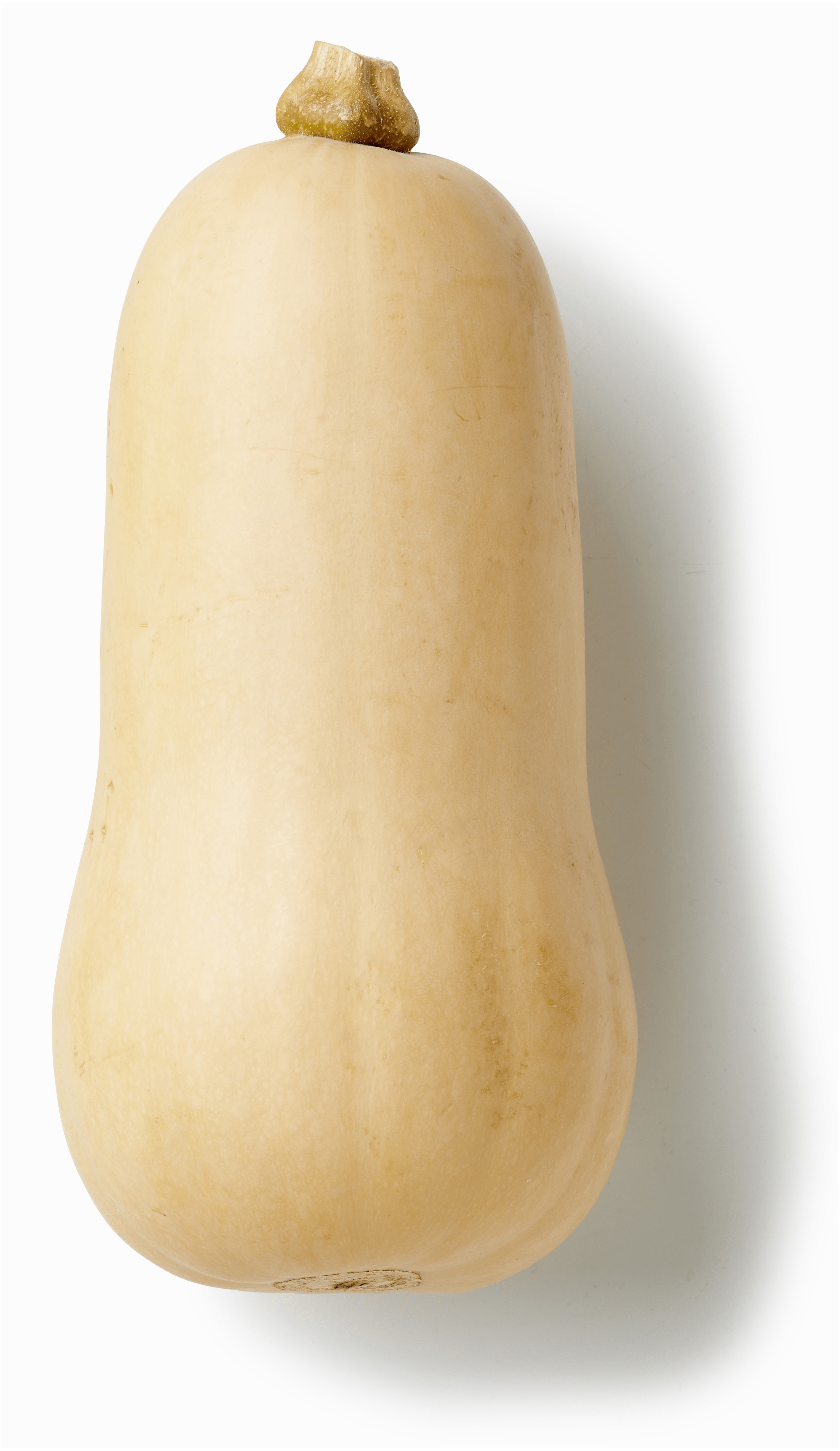 PLUS Flespompoen