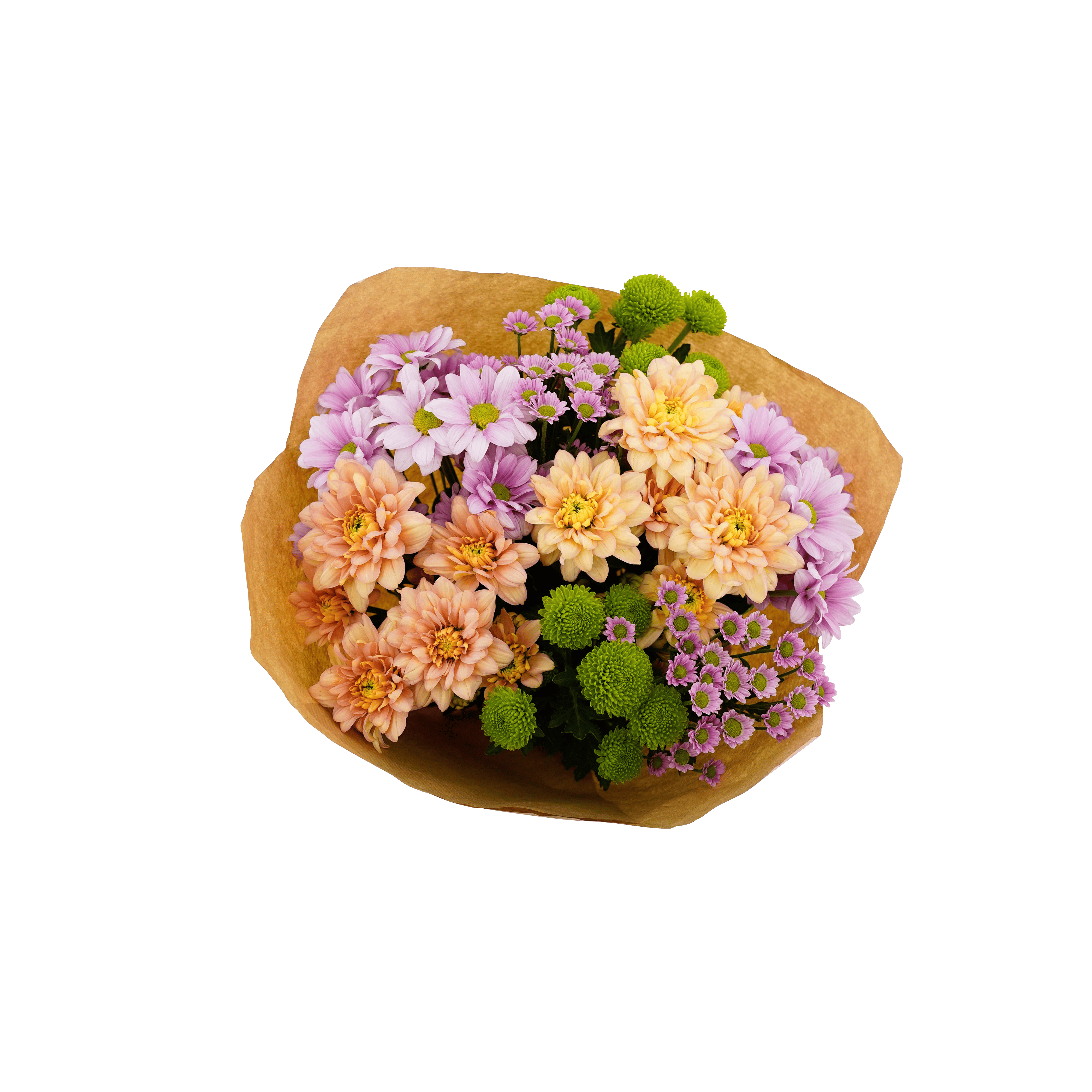 PLUS Chrysantenboeket