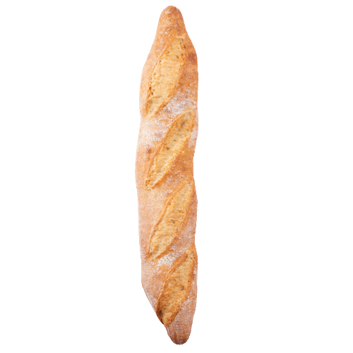 Lodewijker Rustiek Stokbrood Wit