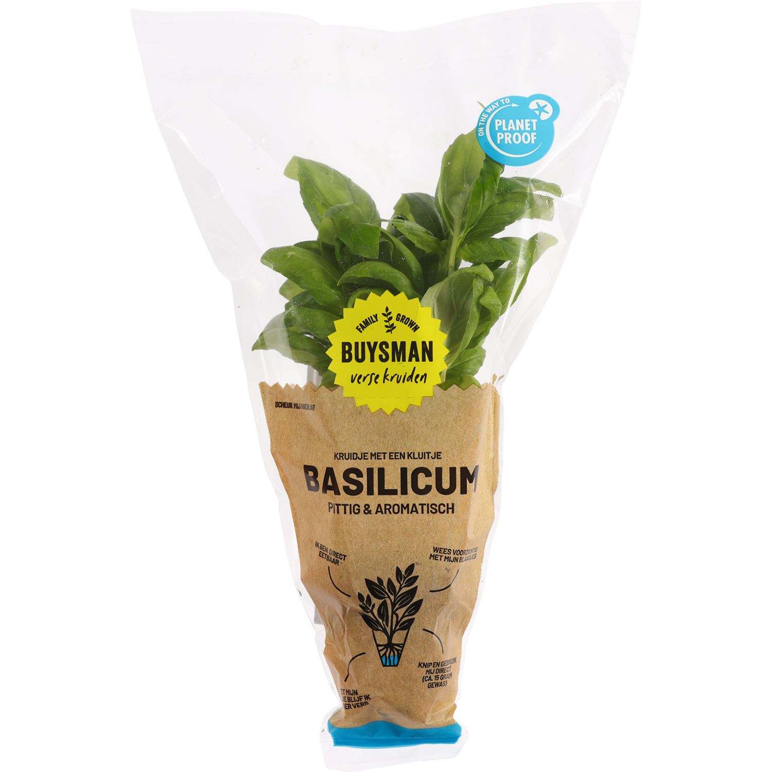 Buijsman Basilicum met kluit