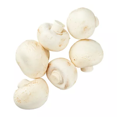 Grove champignons