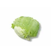 IJsbergsla hele krop